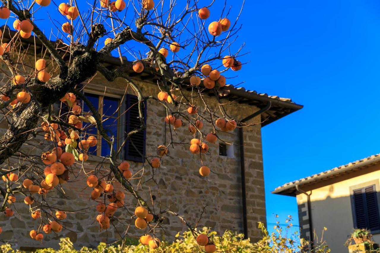 Agriturismo Fattoria Santo Stefano Greve in Chianti Exterior photo